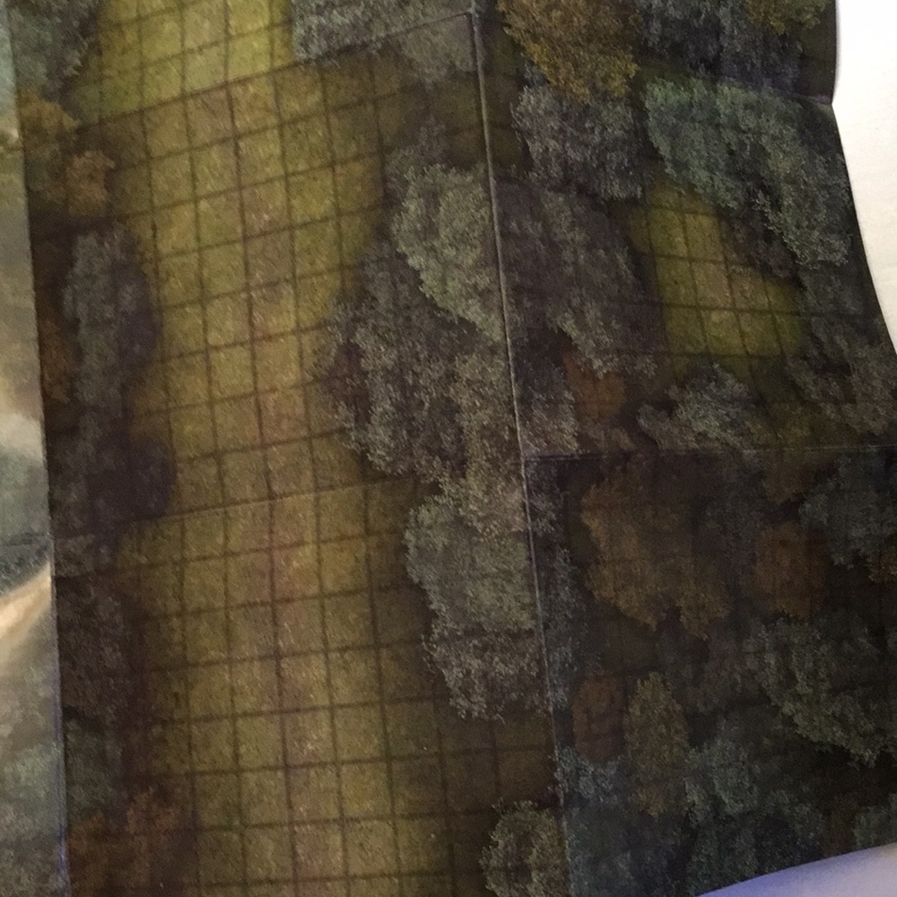 Pathfinder flip-mat classics - Picture 6 of 14